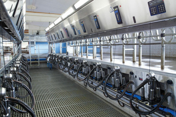 DeLaval parlor milking system P2100